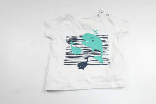 T-Shirt von Lupilu – Größe 62/68 – Weiß