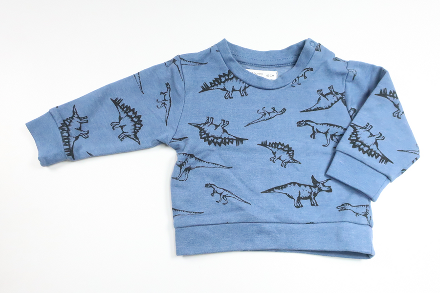 Sweatshirt von Fox & Bunny – Größe 56/62 – Blau