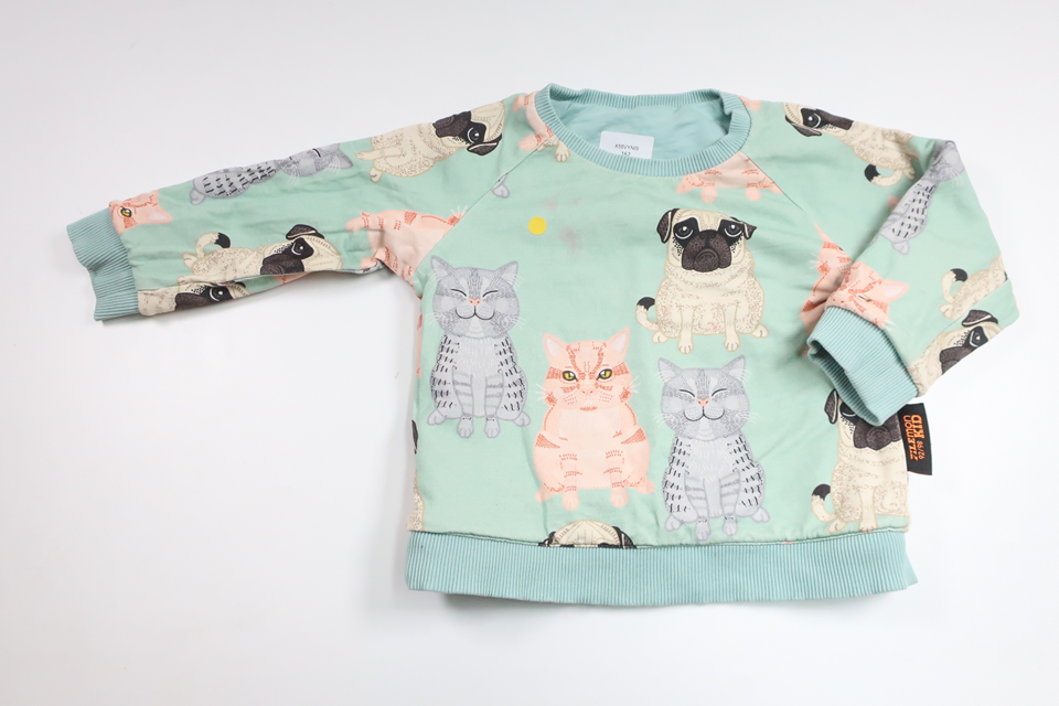 Wende-Sweatshirt mit Hundemotiv von Filemon Kid – Größe 92/98 – Blau