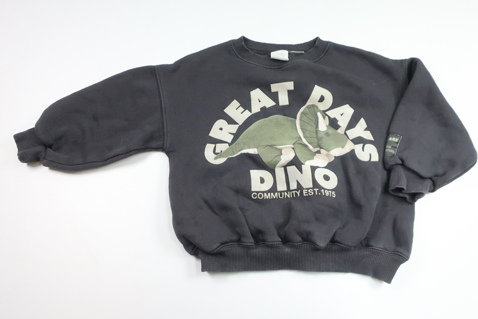 Sweatshirt von Zara – Größe 110 – Grau